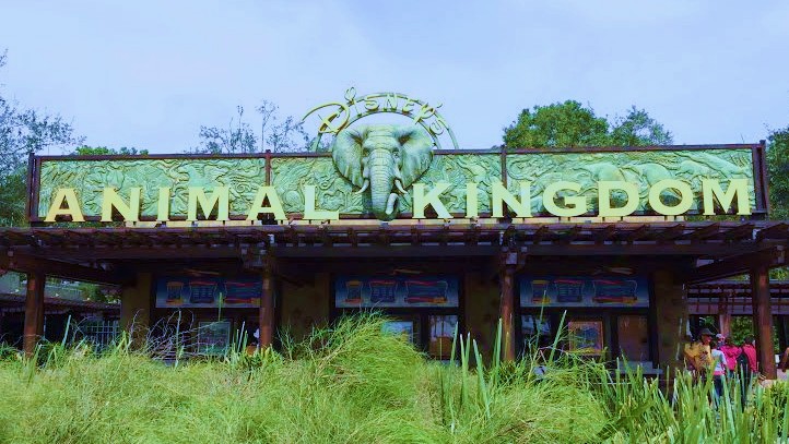 Walt Disney World reveals big changes for Animal Kingdom