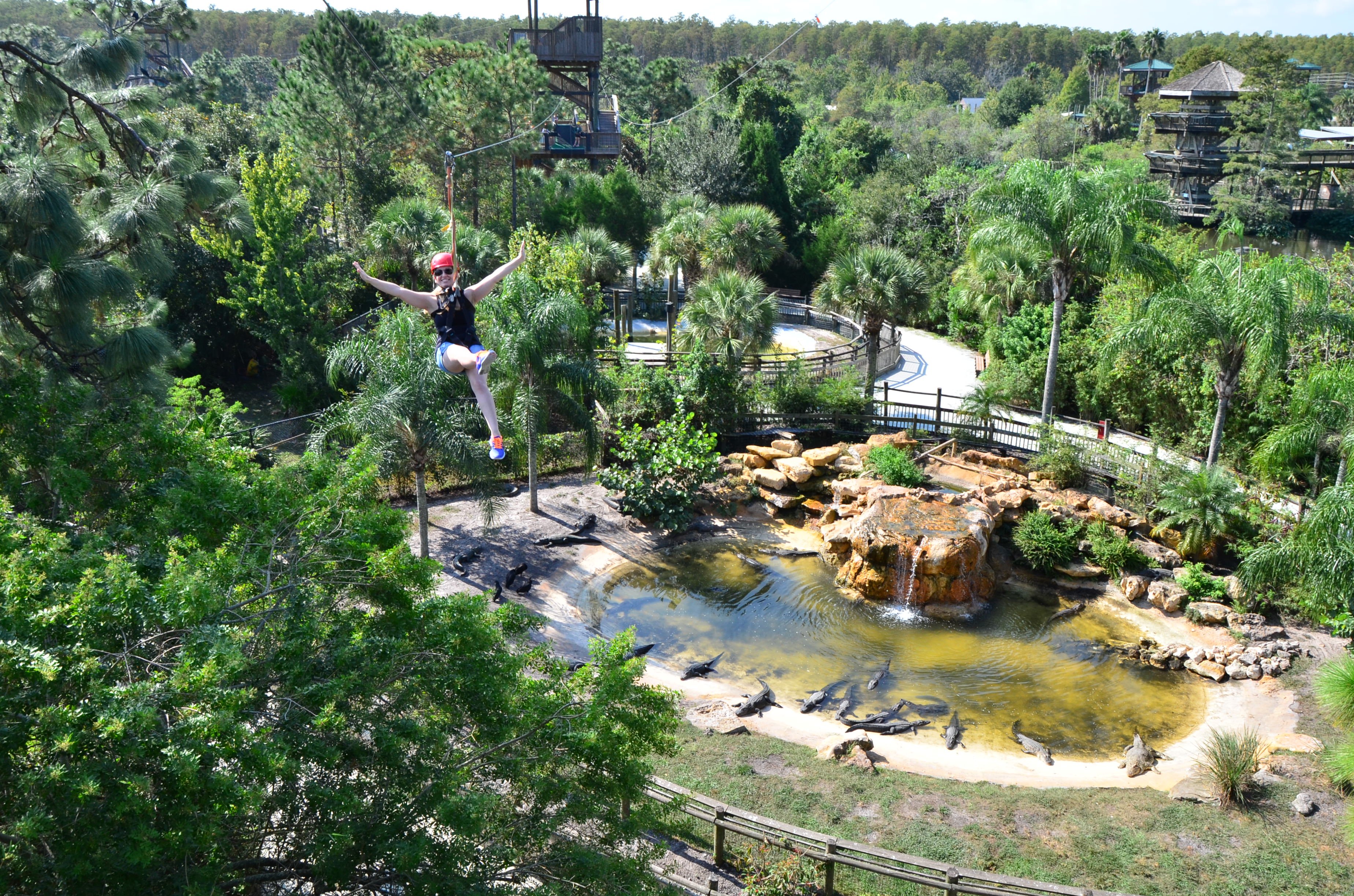 Go Gators! | Today's Orlando